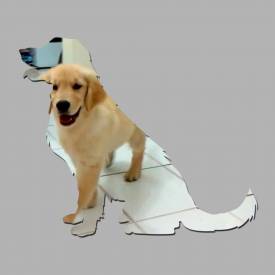Espelho Decorativo Golden Retriever