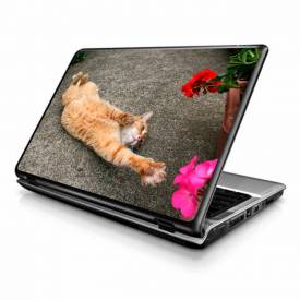 Adesivo Skin para Notebook / Netbook gato 9